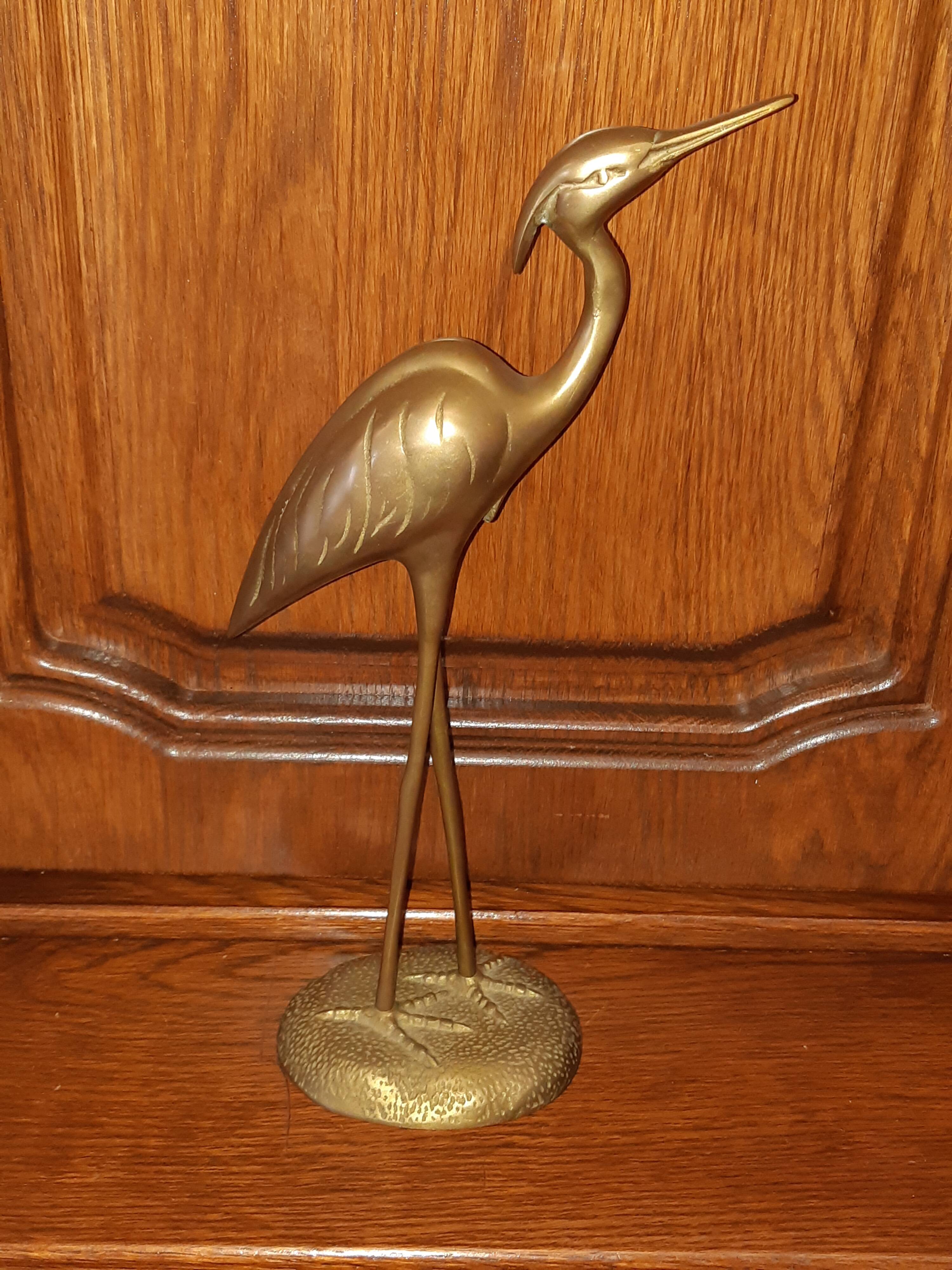 Brass-bronze egret bird