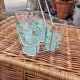 Vintage Orangeade Service