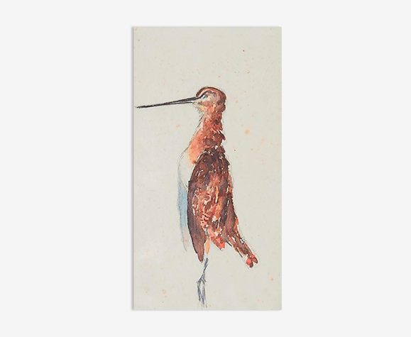 La Bécasse - Aquarelle et crayon - milieu XX éme - 25x45 cm