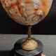 Cabinet of Curiosities haliotis rufescens shell on base