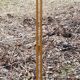 Vintage 1980s Scandinavian floor lamp in pine and white lacquered metal.