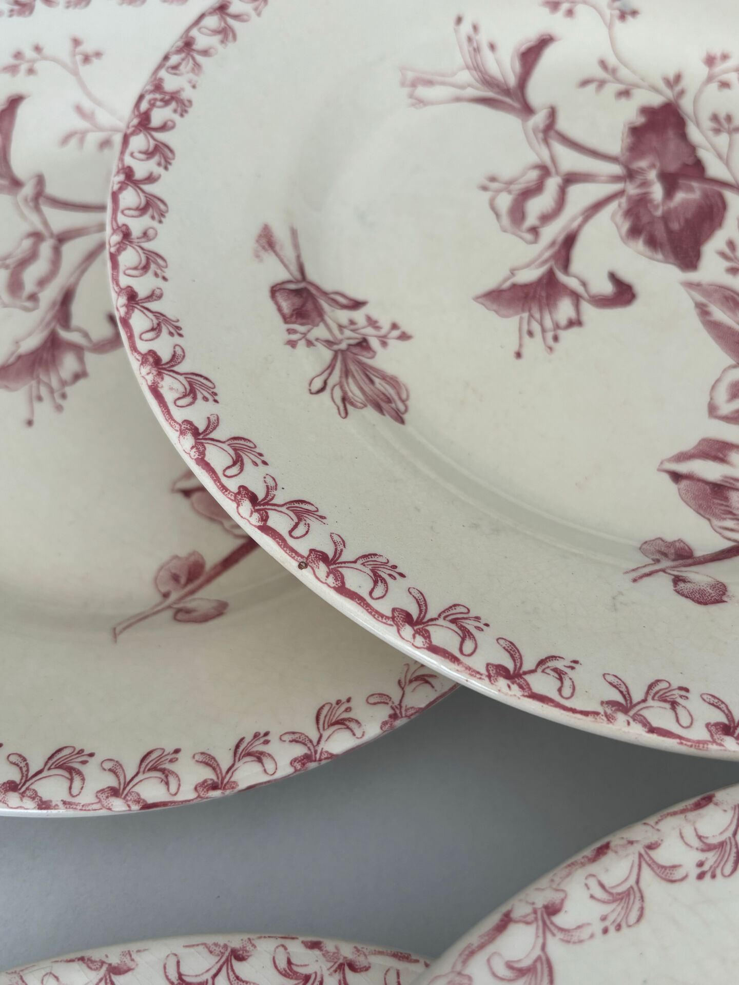 Set of six plates, ironstone, red, Gien, honeysuckle, earthenware.