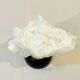Antique natural white wave coral on wooden base Napoleon III cabinet of curiosities
