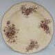 Round iron earth dish