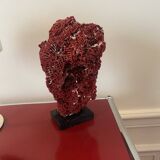 Grand corail Tubipora Musica vintage