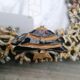Enamelled metal photo frame. Fish décor. Perfect condition