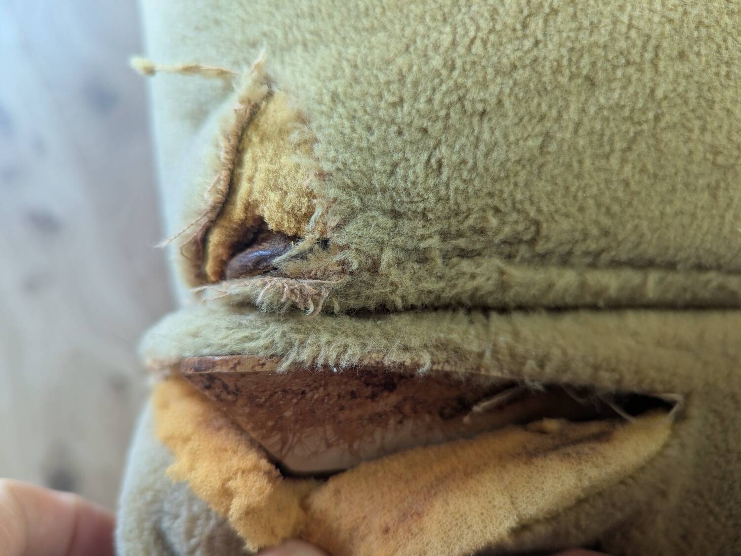 Canapé modulaire modèle 743 par Joseph-André Motte pour Steiner 1960