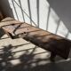 Brutalist Oak Bench – Unique Piece, 20th Century Folk Art