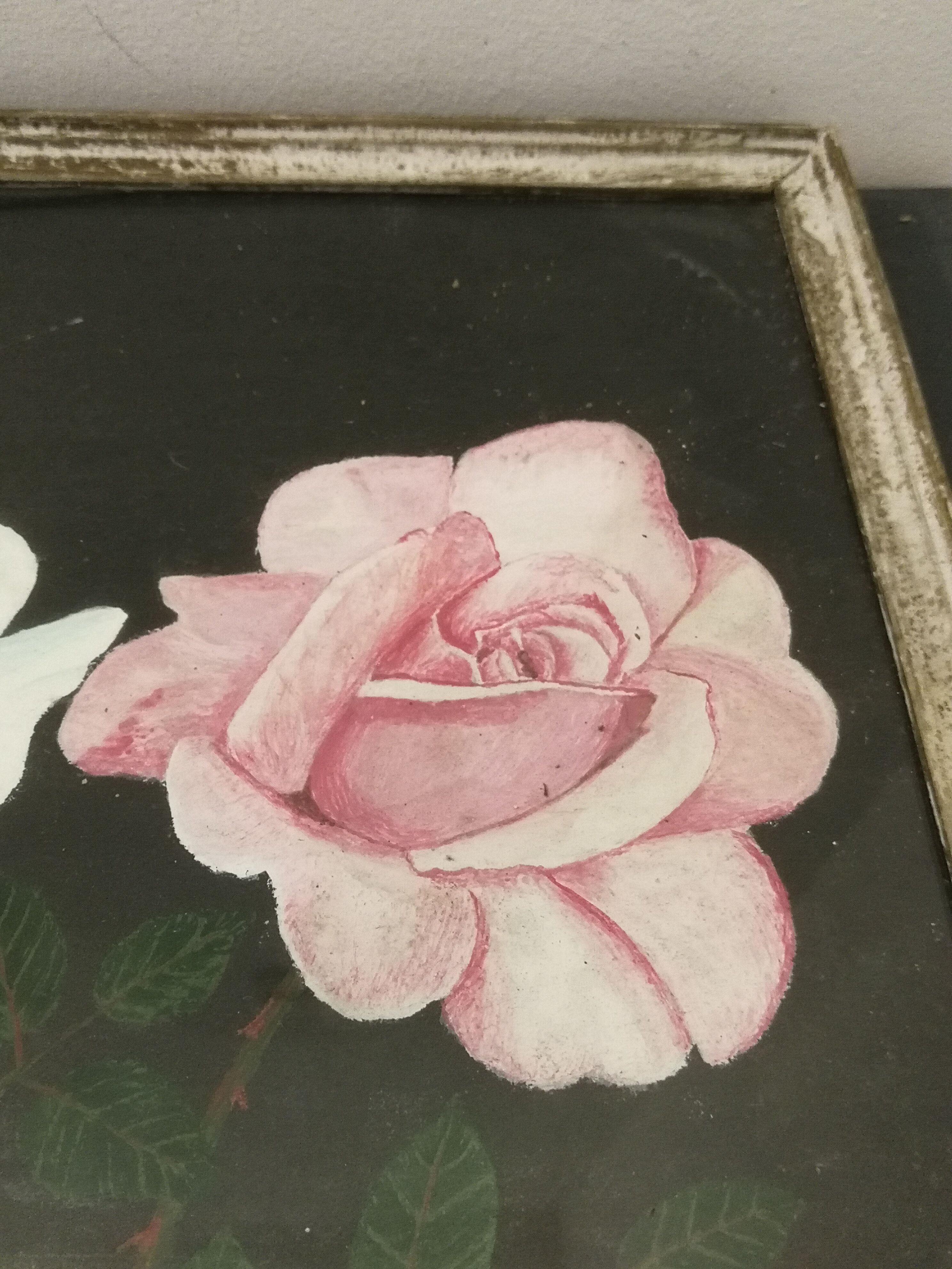 Executive duo Mr. Dubois