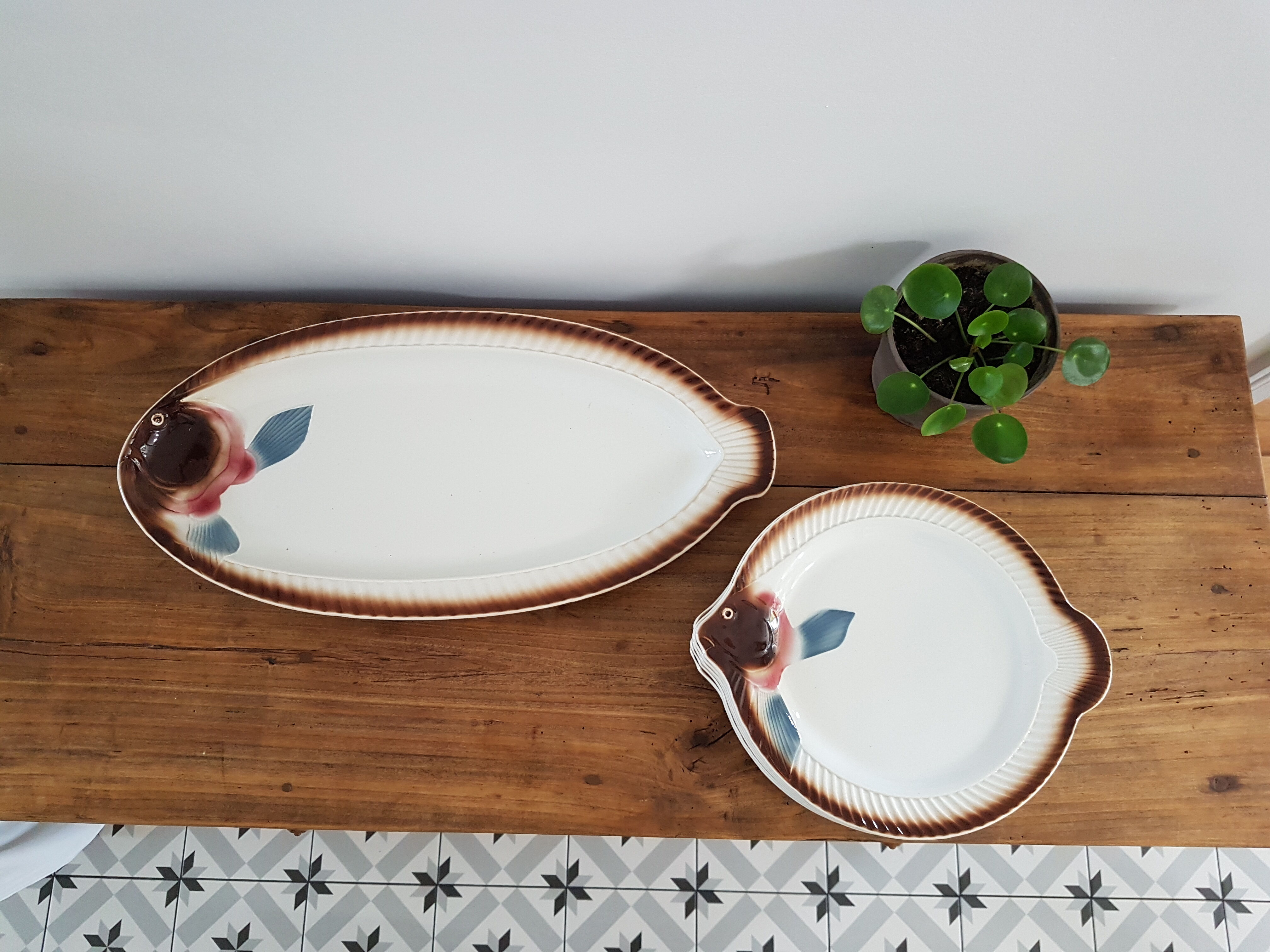 Plates and fish dish