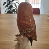 Saxon Porcelain Owl Karl ENS