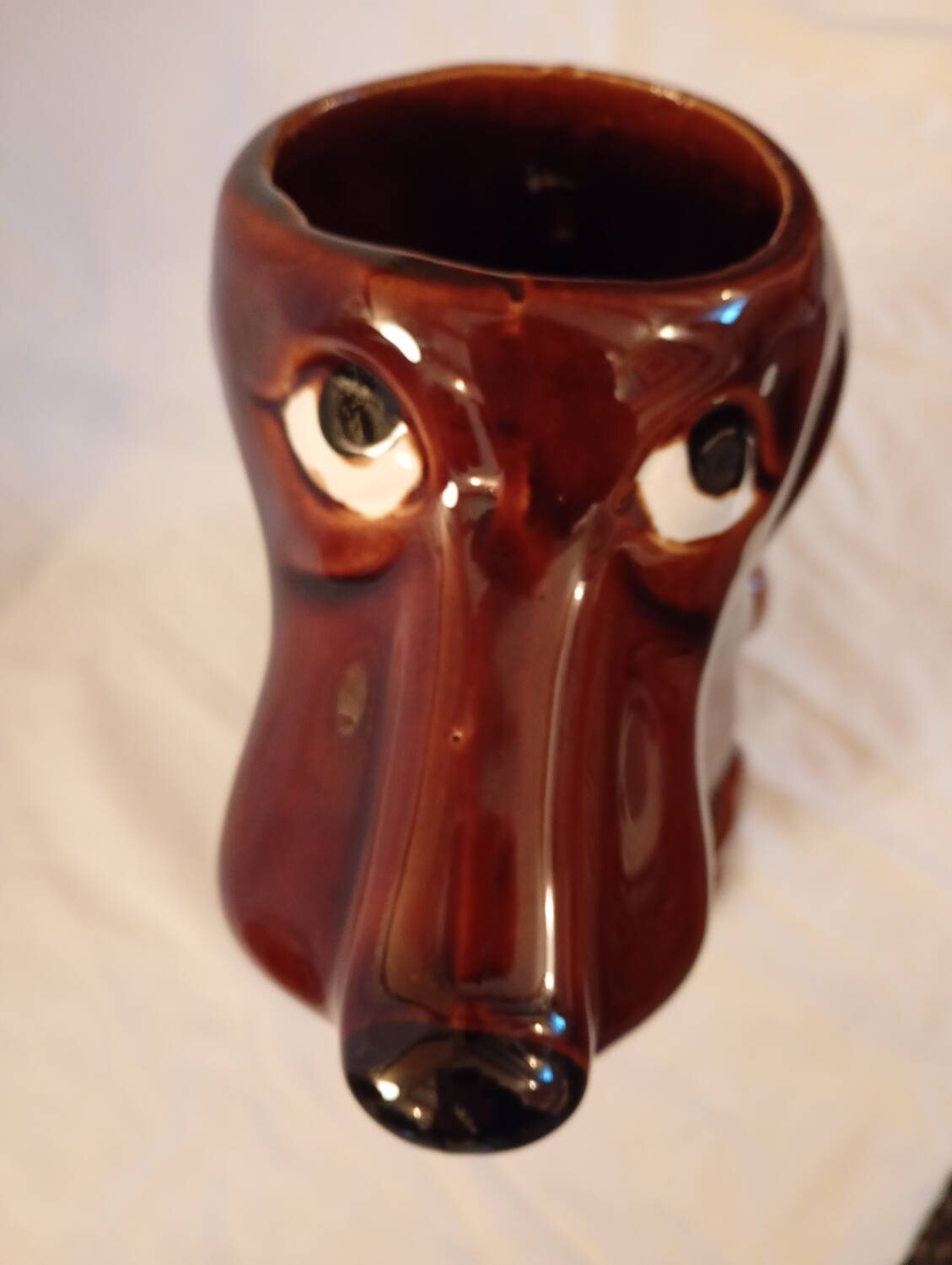 Dog pitcher