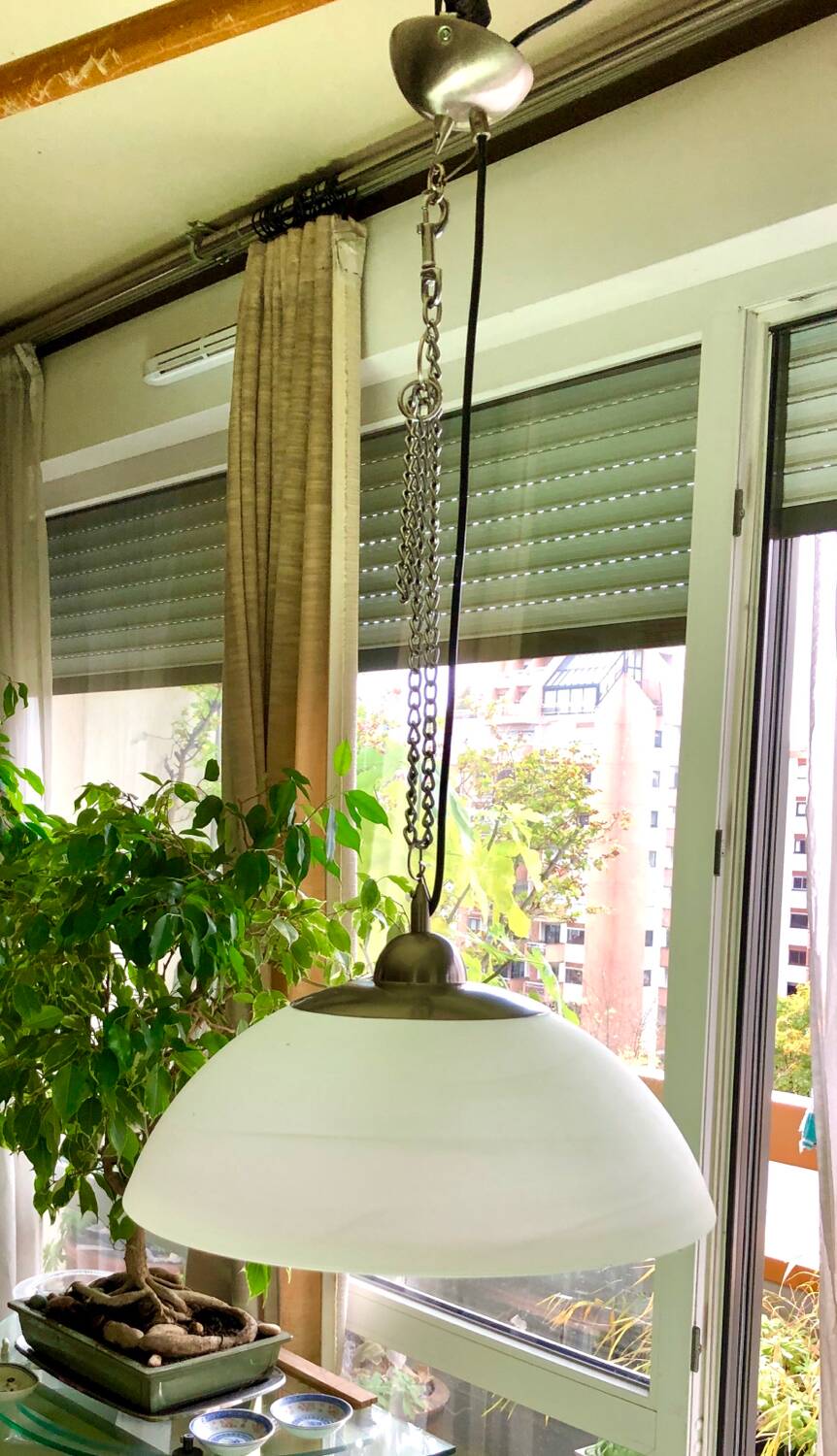 Molded glass pendant light
