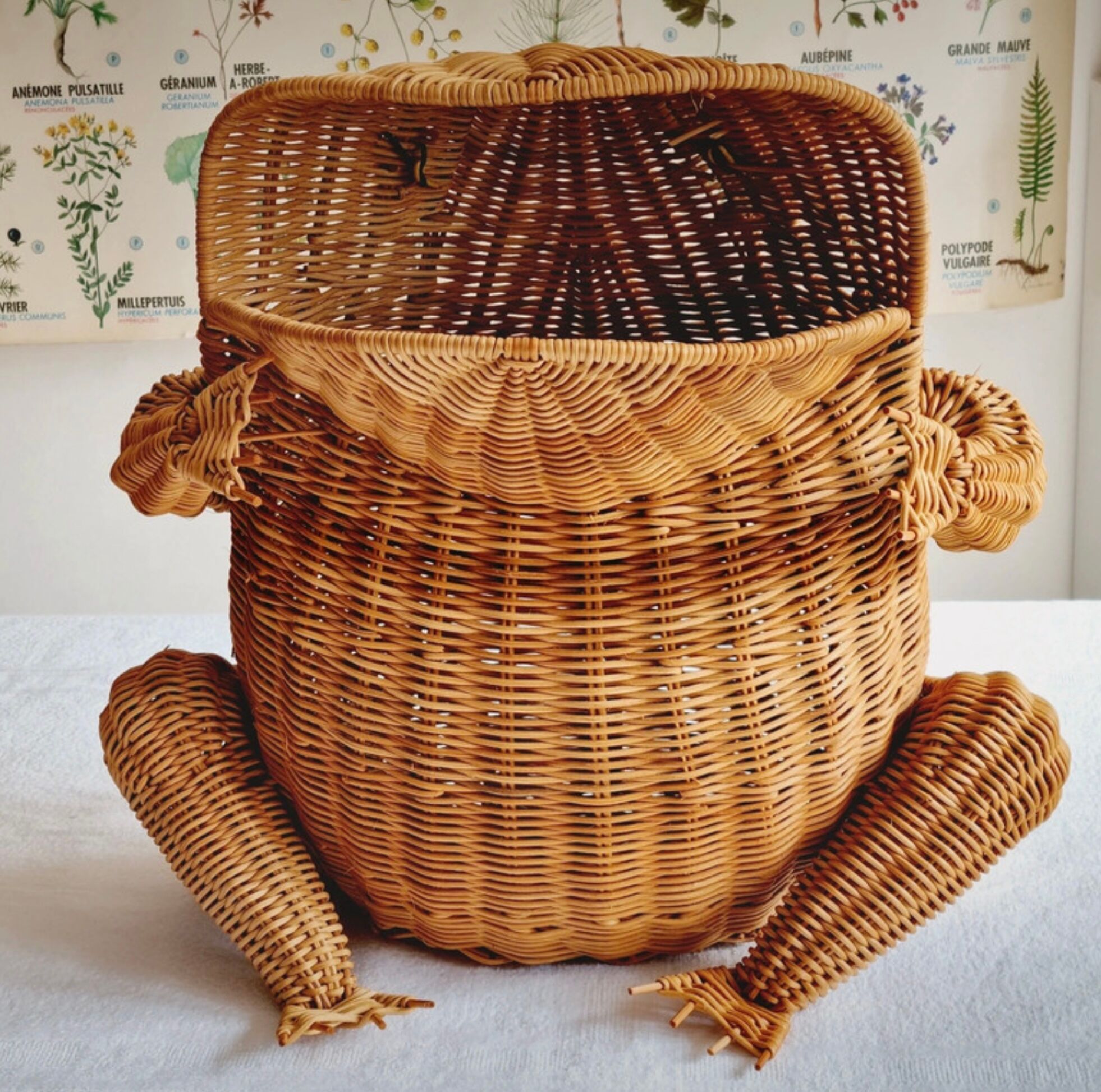 Wicker frog magazine holder Olivier Cajan