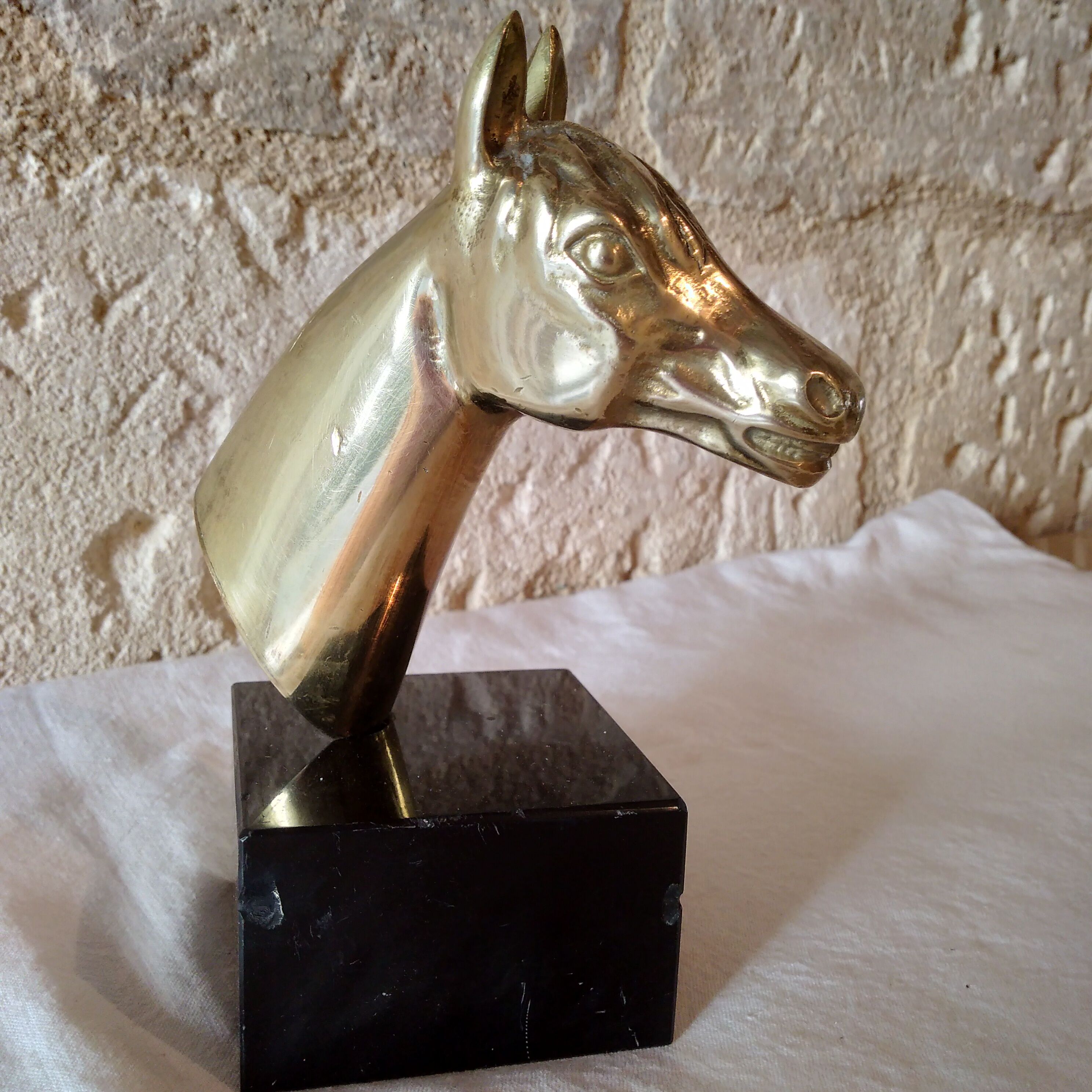 Bronze horse head