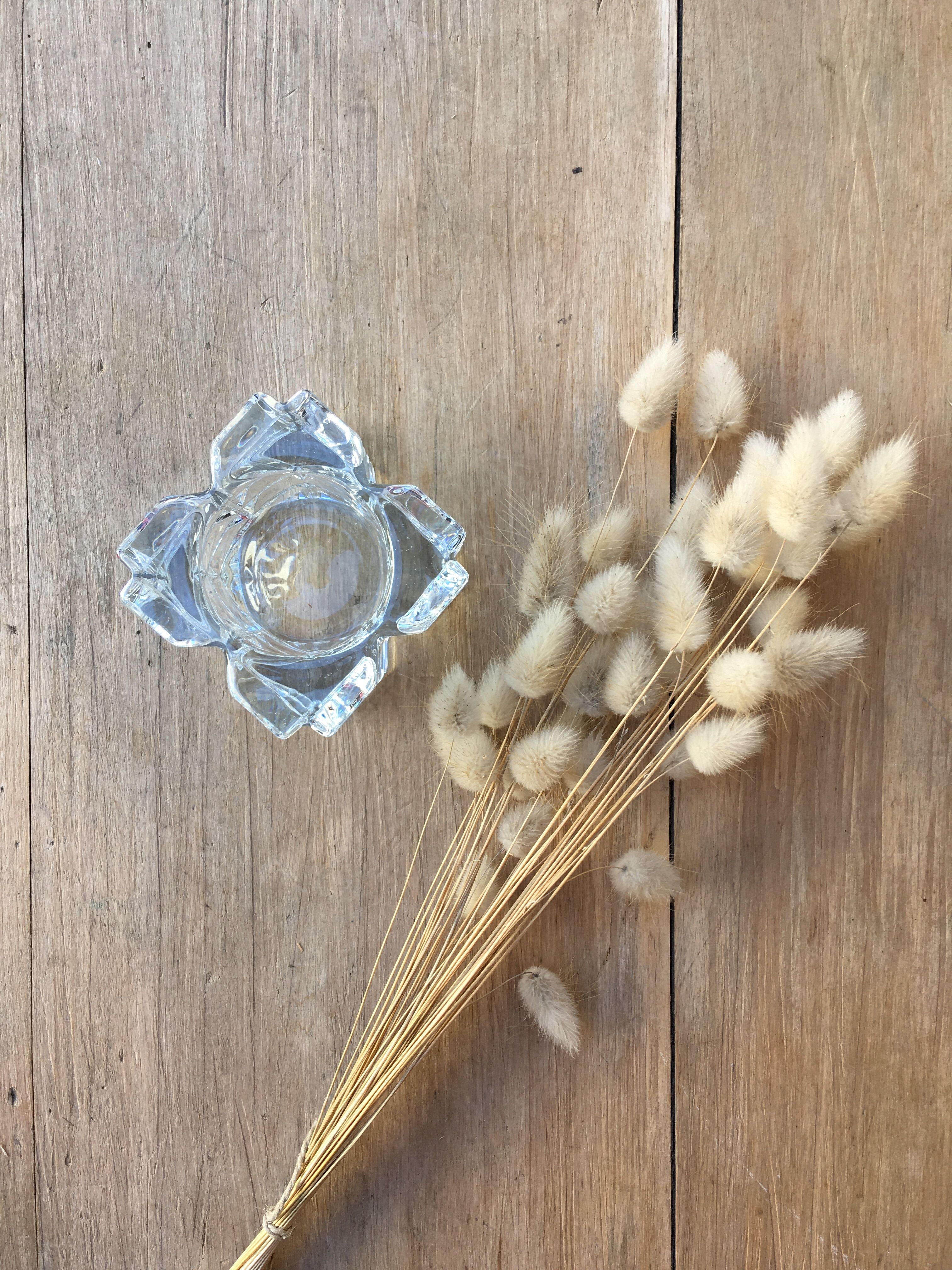 Pair of square photophores