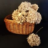 Panier en osier