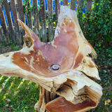 Teak root standing sink