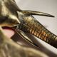 Door knocker / wall paperweight, bronze elephant sculpture