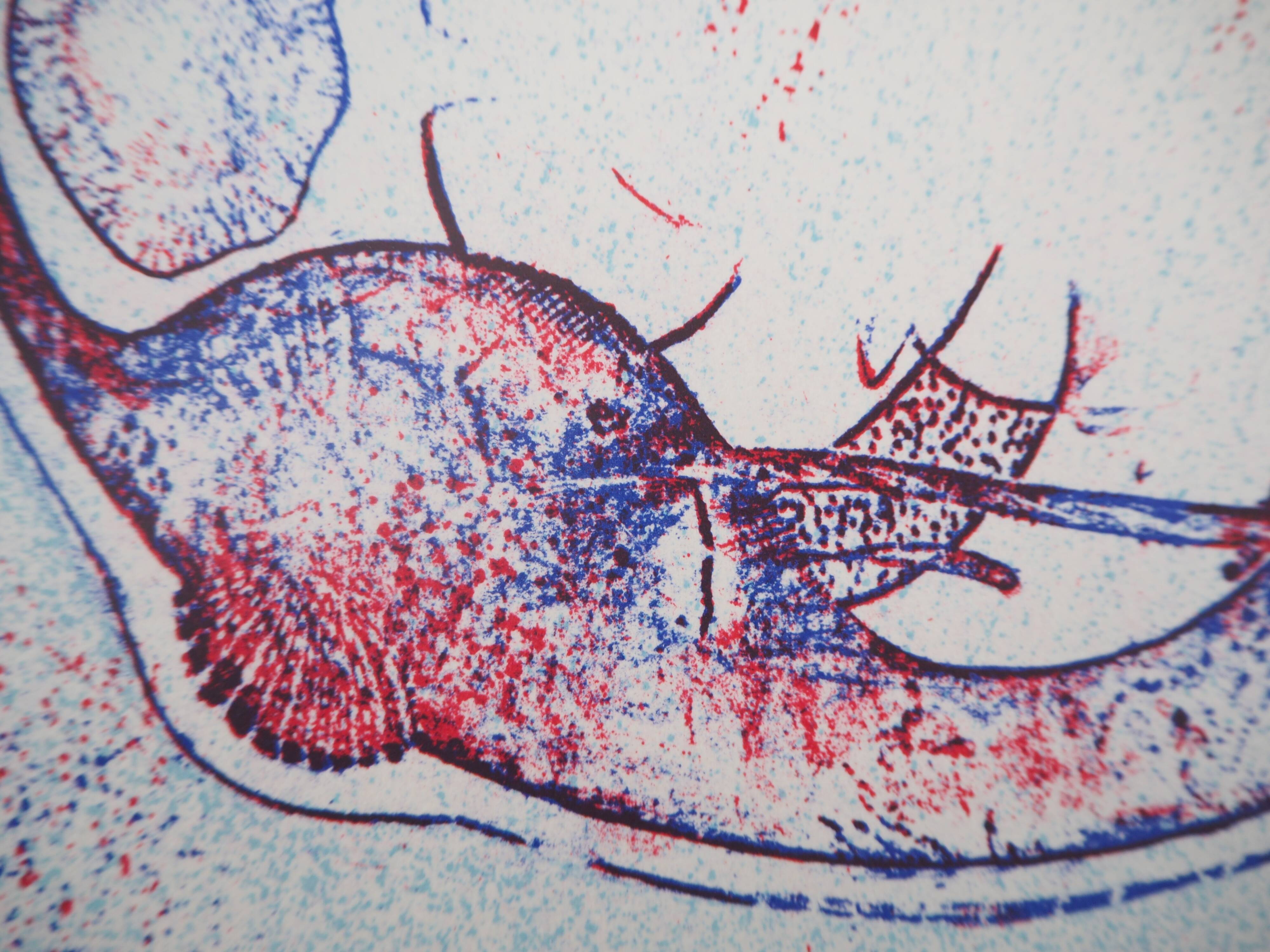 Max ernst: after me the 20th century - original lithograph