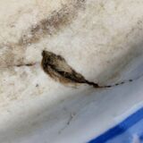 1930s Italian Hand-Painted Ceramic Planter - Vibrant Floral Motif