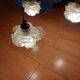 art nouveau chandelier, alabaster shells, molded glass and bronze