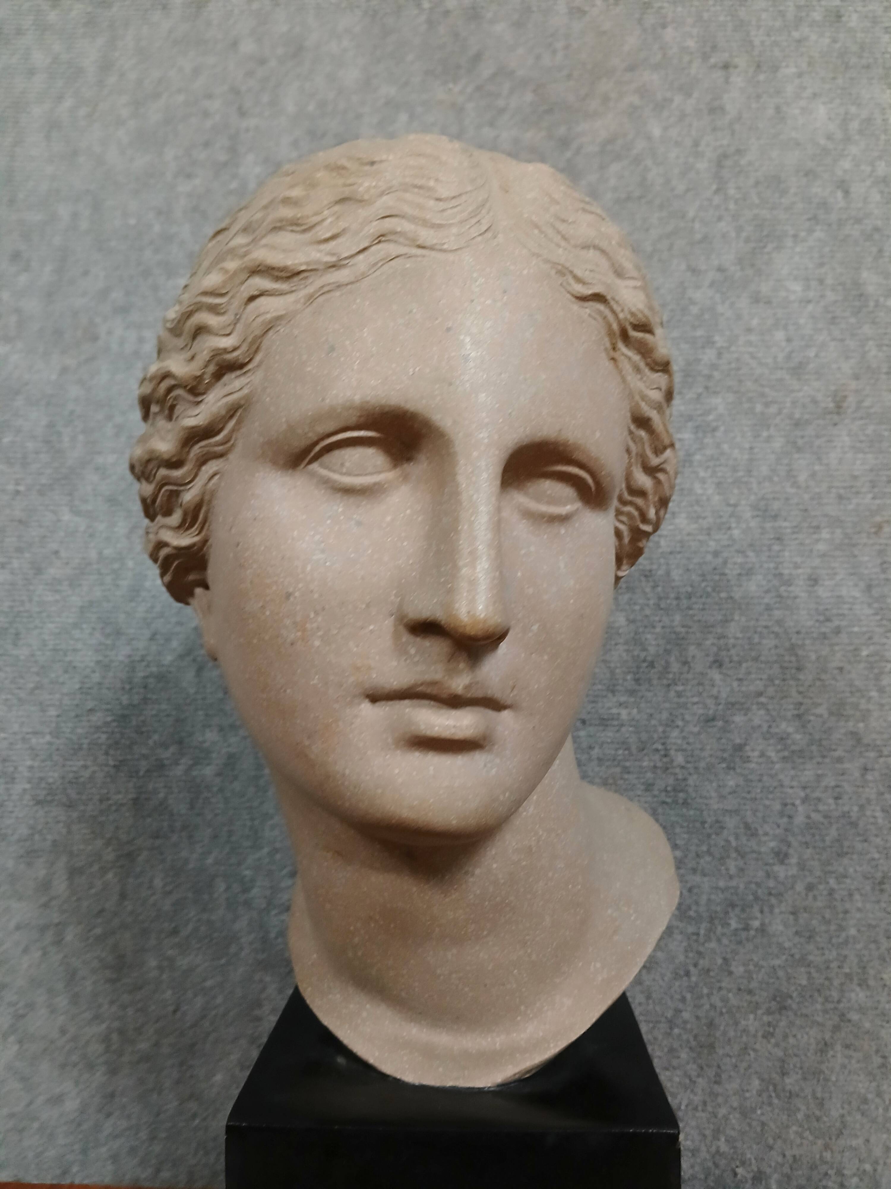 Rare terracotta sculpture depicting the Head of Aphrodite of Cnidus by Praxiteles