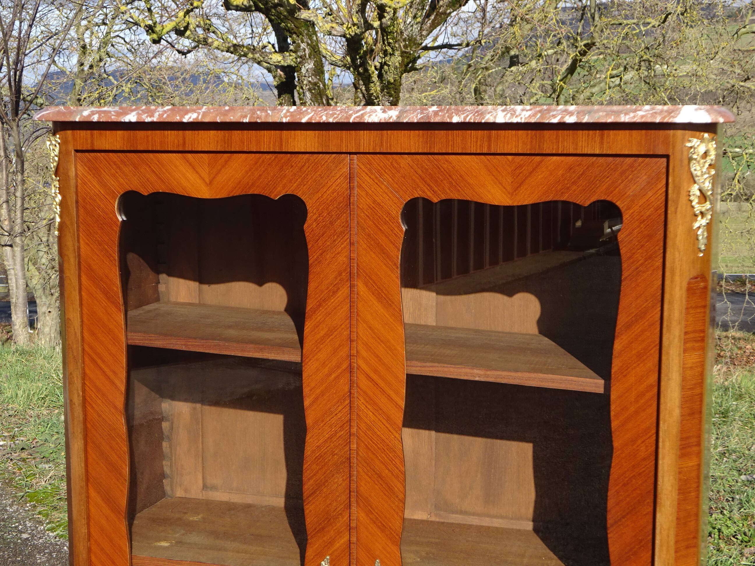 Glass library with rosewood marquetry in the Louis XV style.