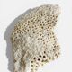 Sculptural White Coral Fossil, Organic Modern Decor from South Asia
