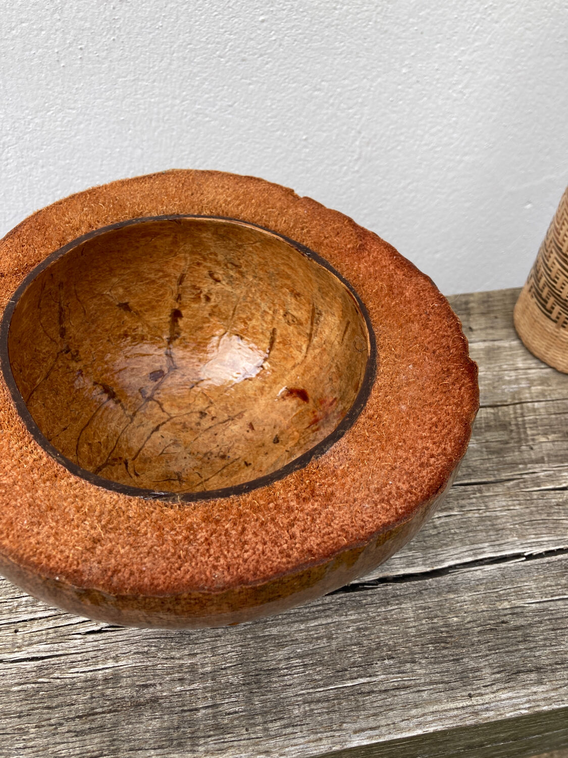 Exotic brutalist coconut ice bucket 1960