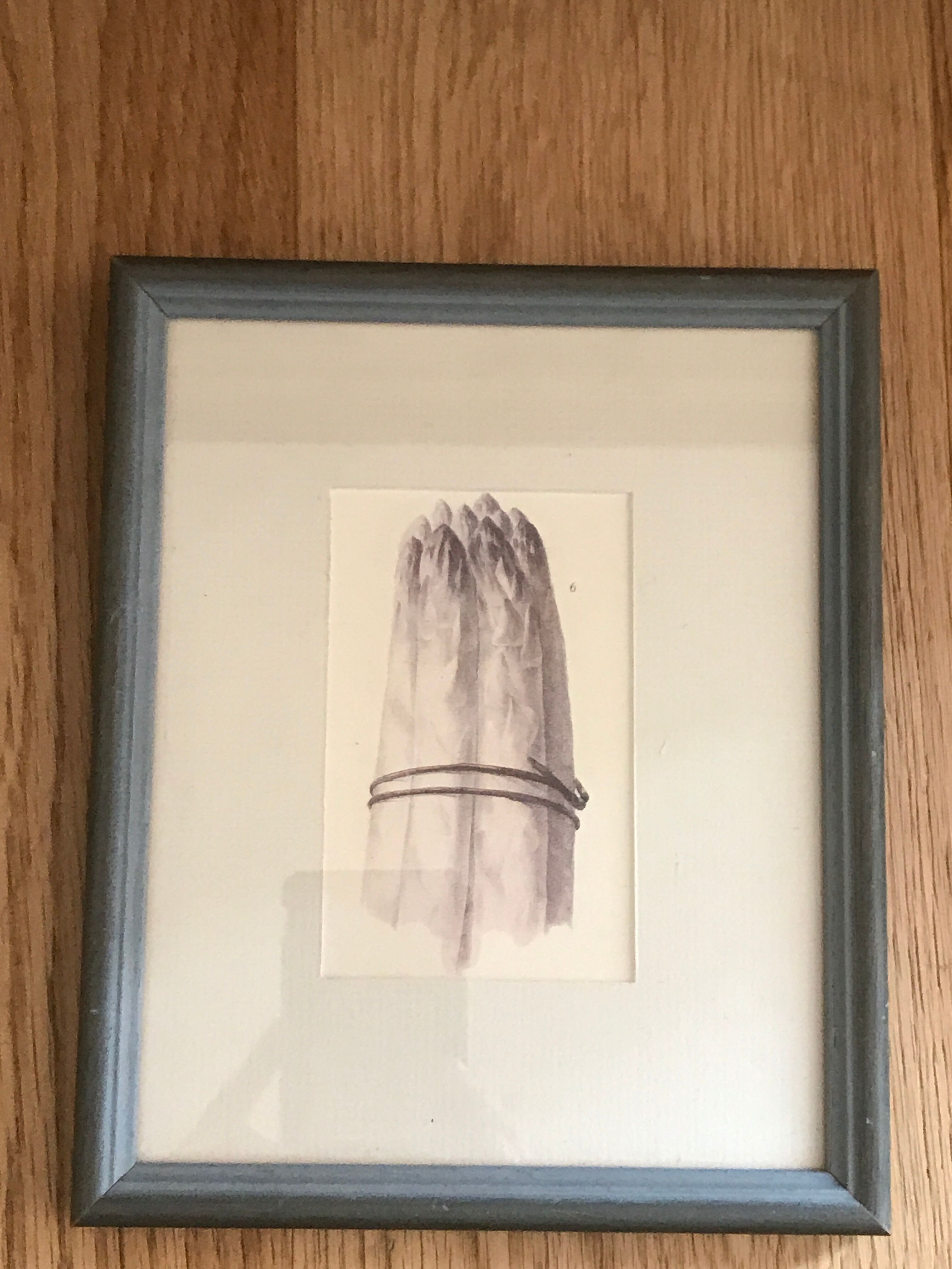 Lot of 6 old vegetable images