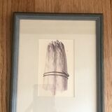 Lot of 6 old vegetable images