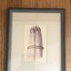 Lot of 6 old vegetable images