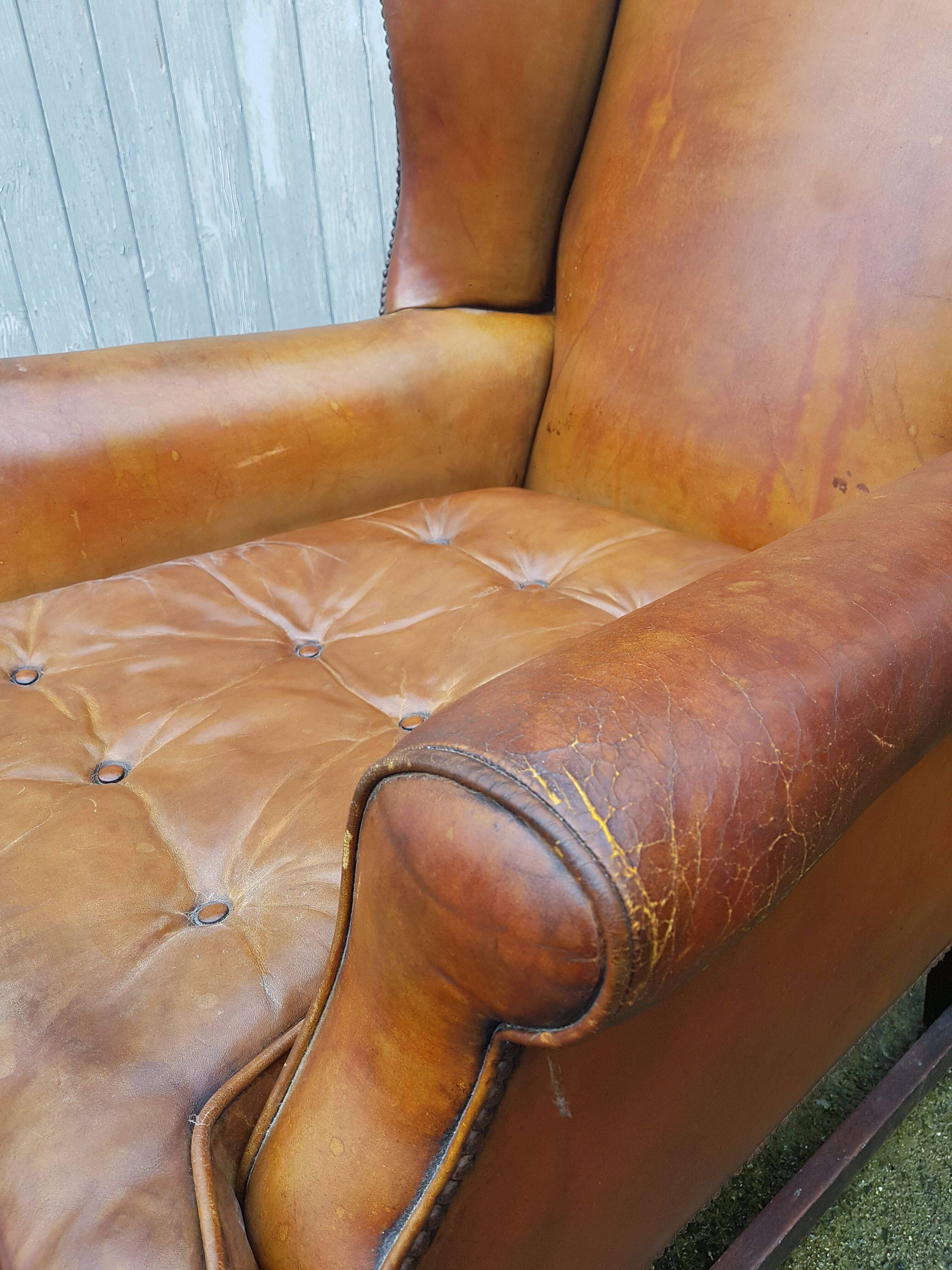 English fawn leather armchair with ears Chesterfield club