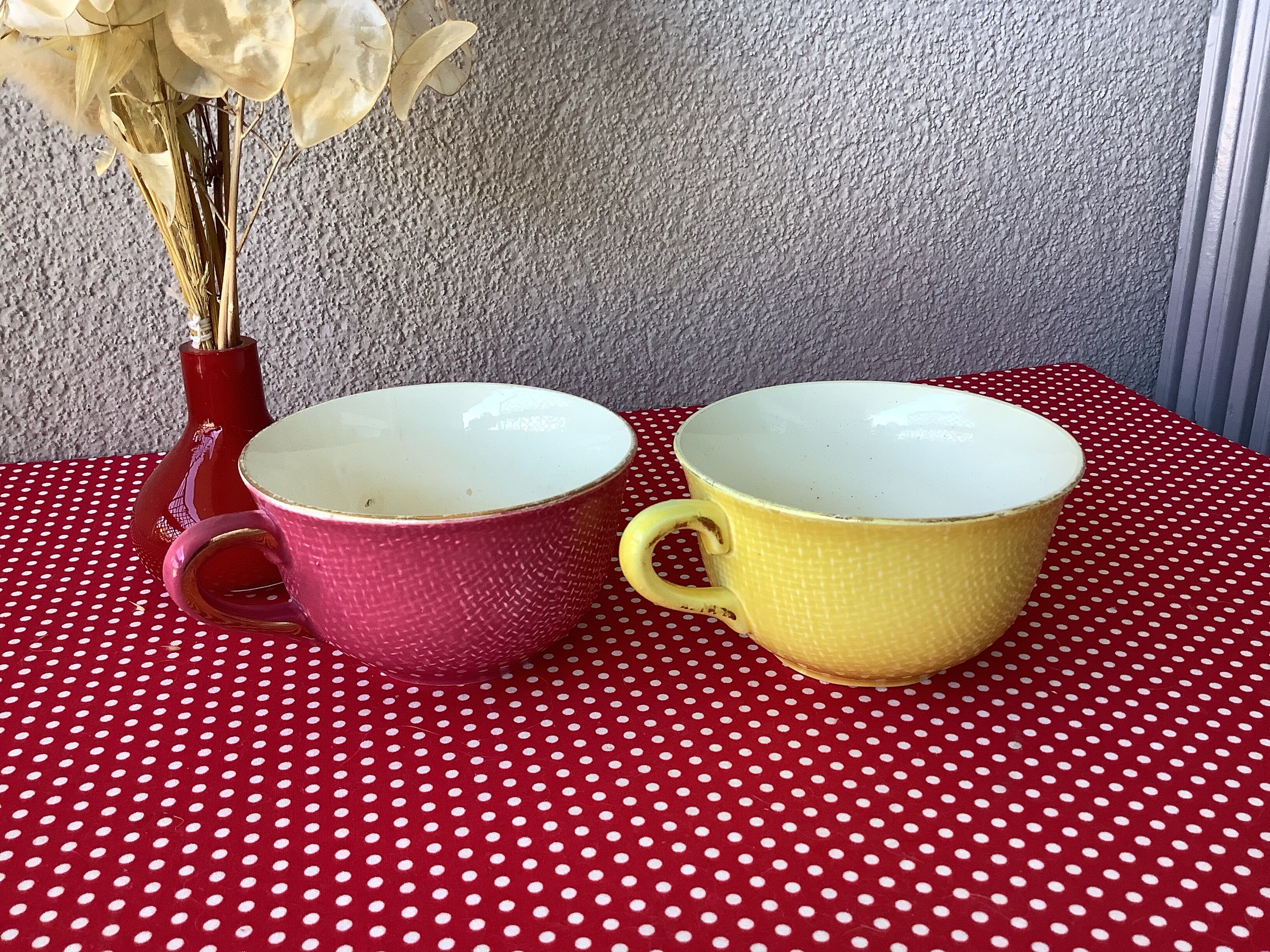 Salins France cups great model