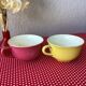 Salins France cups great model