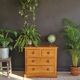 Pine chest of drawers