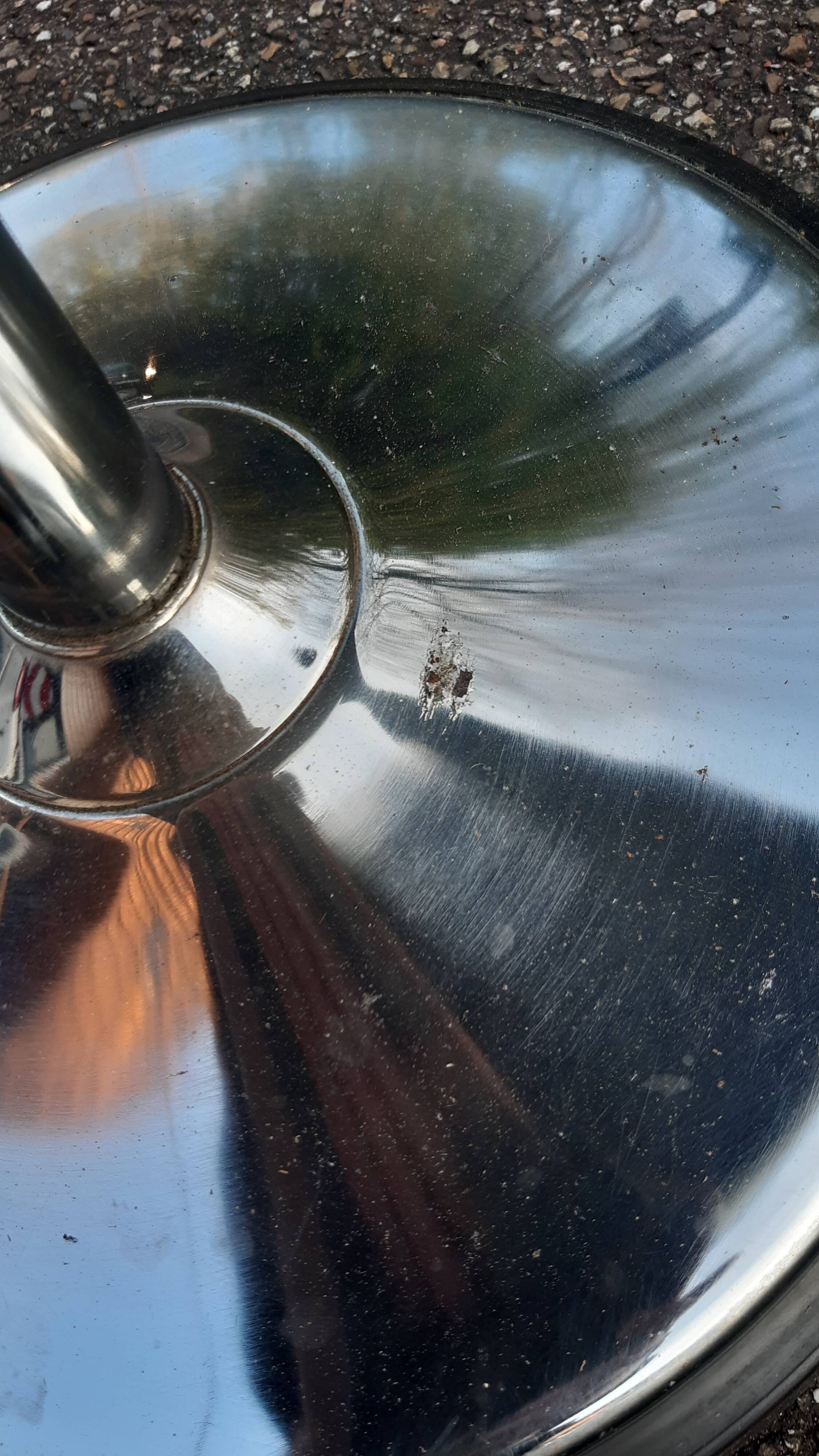 Etienne Fermigier tulip-shaped chair