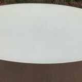 Oval designer dining table in frosted glass and brushed stainless steel