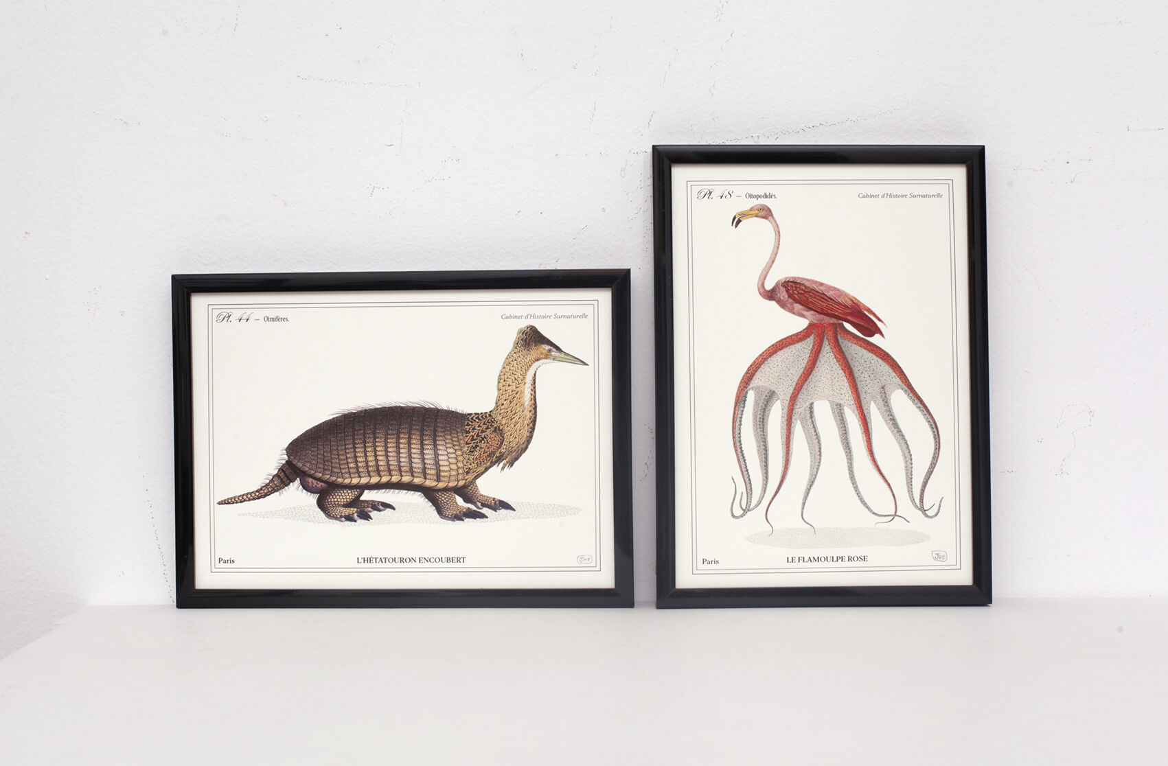 Set of 2 framed chimera lithography animal engraving