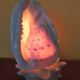 Night light, shell lamp 60s