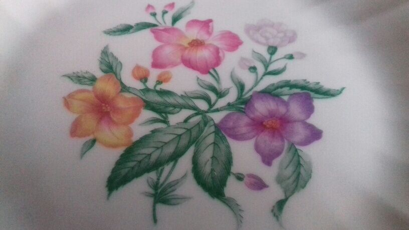 Lot of 10 dessert plates, hard porcelain (Larchevéque)