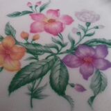 Lot of 10 dessert plates, hard porcelain (Larchevéque)