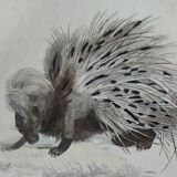 Original zoological plate " porcupine, porcupine of malaca, coendou,... - buffon 1838