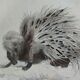 Original zoological plate "porcupine, Malaca porcupine, coendou,... - Buffon 1838