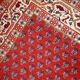 Tapis Vintage Indo-Seraband en Laine, Années 1970, Élégance Classique