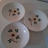 Deep plate Salins France