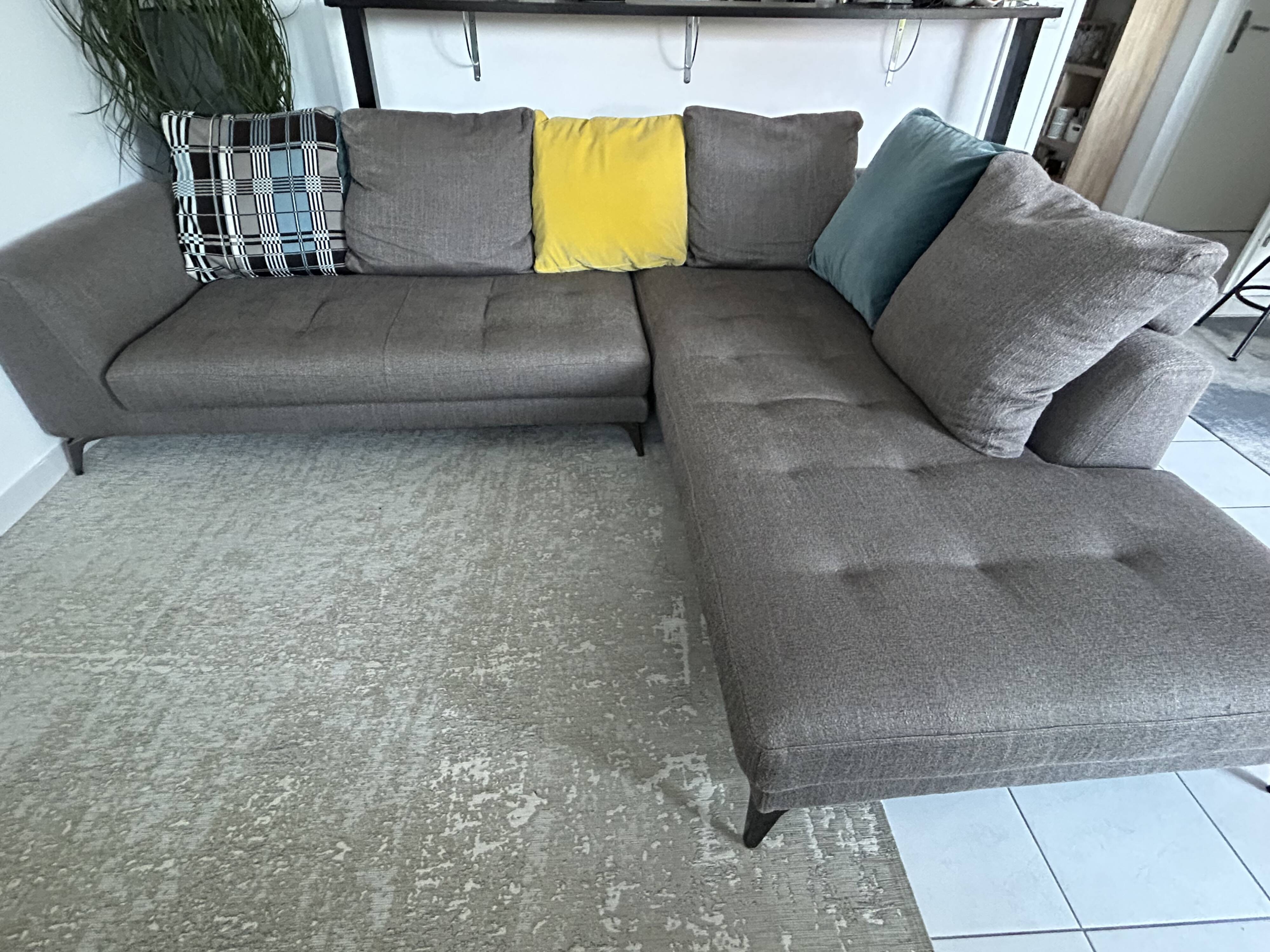 Canapé Roche Bobois