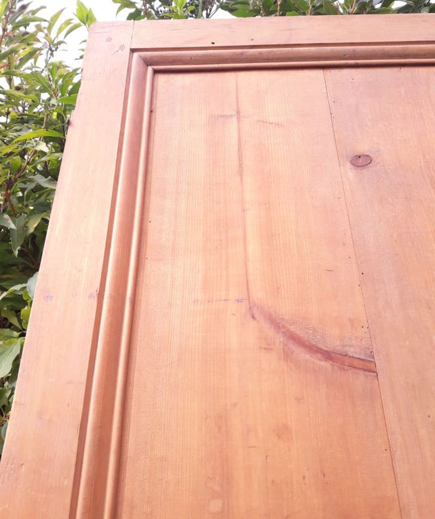 Paire de portes 248x129cm anciennes