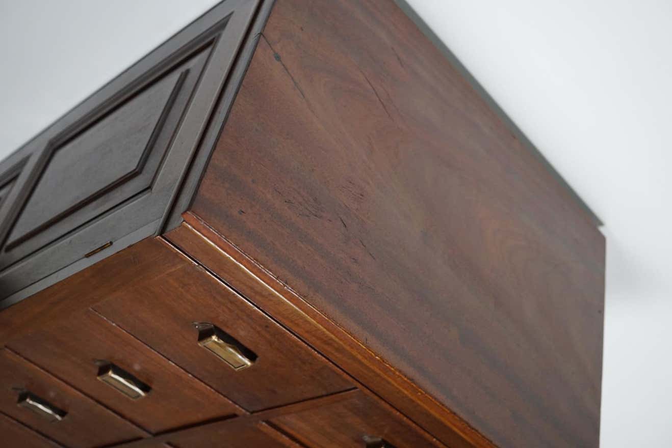 Classification cabinet mahogany drawers Netherlands 1930s